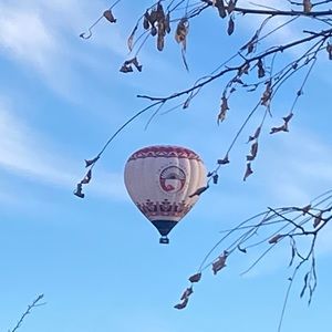 Meet your Posher, Yvette